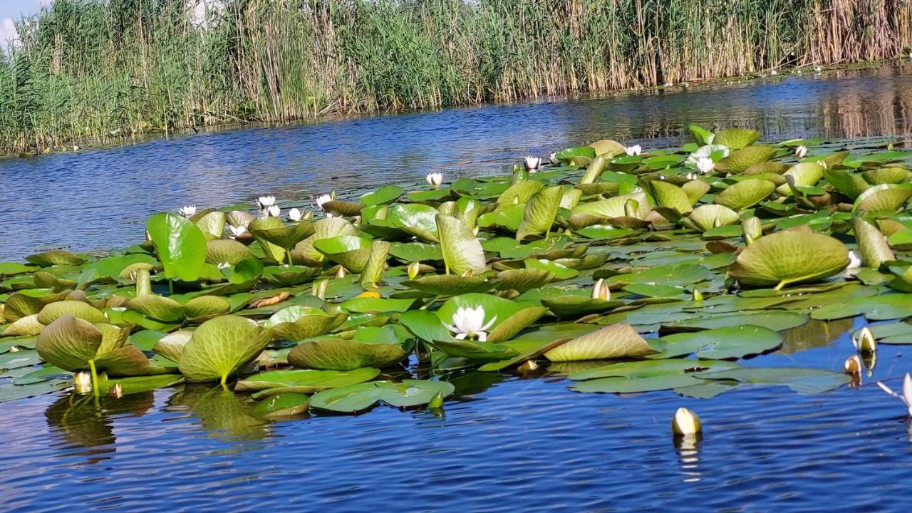 Pensiunea Nest Dunavăţu de Jos Esterno foto