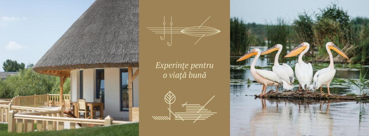 Pensiunea Nest Dunavăţu de Jos Esterno foto