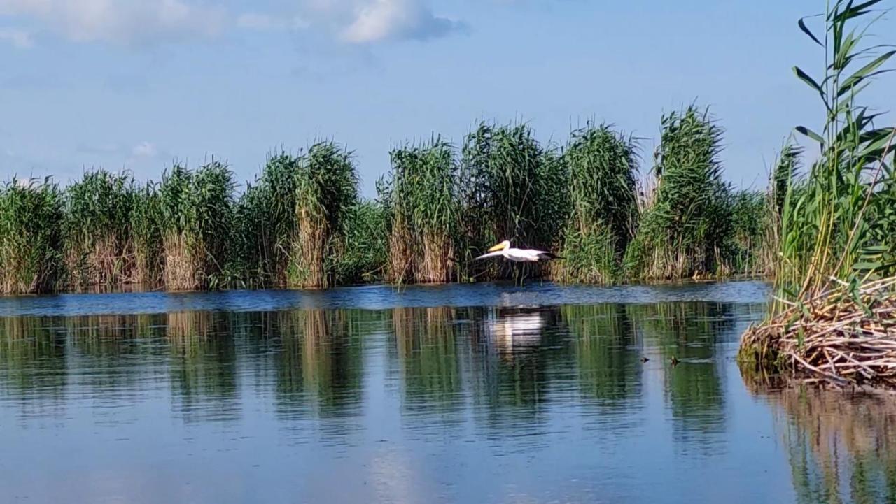 Pensiunea Nest Dunavăţu de Jos Esterno foto