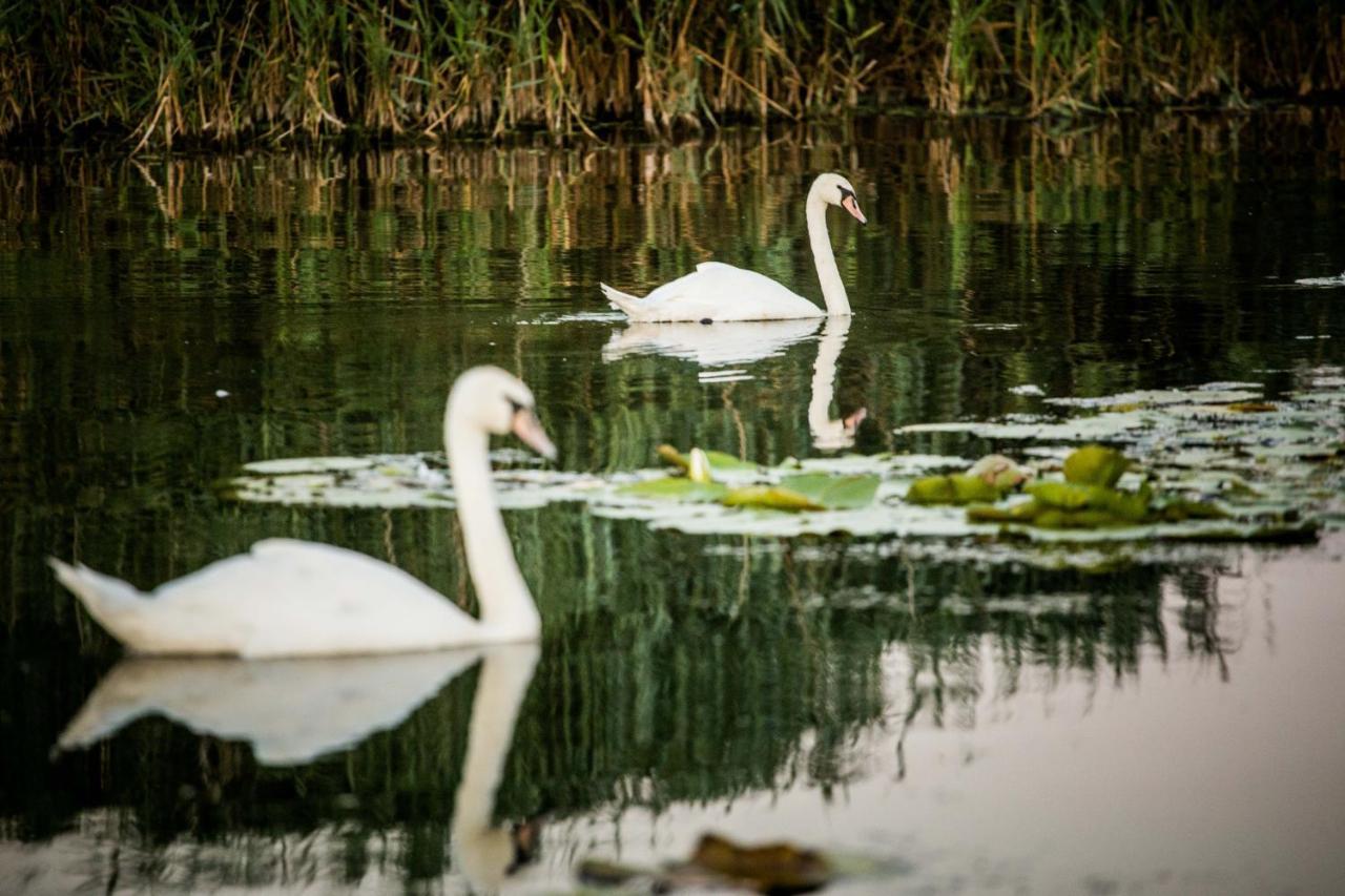 Pensiunea Nest Dunavăţu de Jos Esterno foto